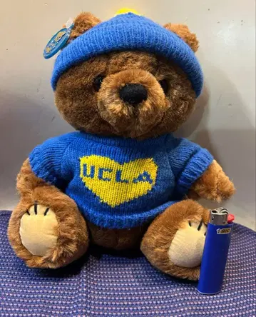 UCLA / 블루인스 마스코트/UCLA 베어/곰/봉제 인형