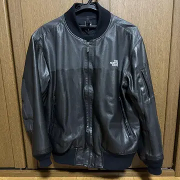 THE NORTH FACE 남성용 GTX Q3 자켓