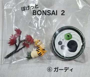 포켓몬 포켓 BONSAI 2 가디