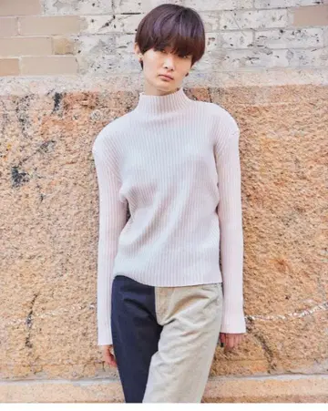 SHISHIKUI sinp 핑크