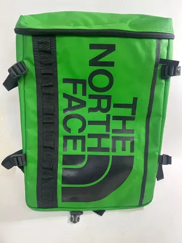 THE NORTH FACE 백팩 그린