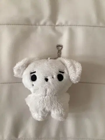 ENHYPEN 성훈 봉제 인형