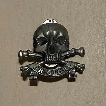 DEATH OR GLORY 핀 배지 핀 배지 PUNK ROCK