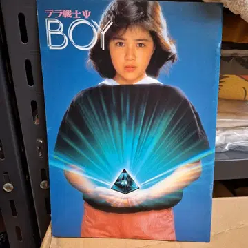 영화 테라전사 BOY 팜플렛