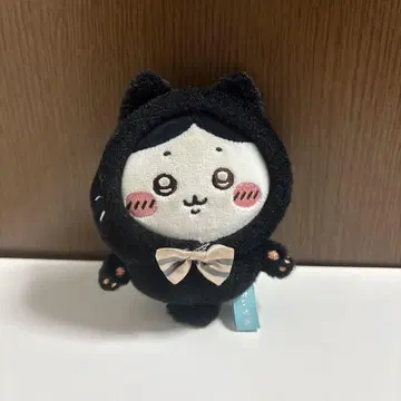 치이카와 (먼작귀) 검은 고양이 마스코트 하치와레 2024 할로윈