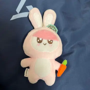 seventeen 세븐틴 세부치 봉봉 토끼