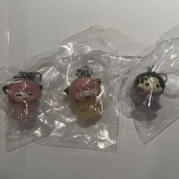 스파이 패밀리 메지루시 액세서리 3세트