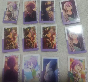 프로세카 에피카 1B 2C 3A 13A 16B 금박 카미시로 루이