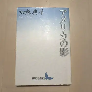미국의 그림자