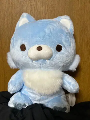 아오이 늑대