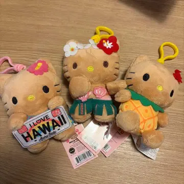 하와이 한정 헬로키티 일광화상 3개 세트 수량 한정 상품 ABC 스토어