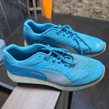 Puma 파랑 스니커즈