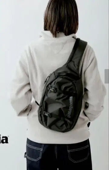 Patagonia Atom 8L