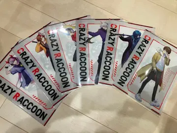 CRAZY RACCOON 클리어 파일 세트