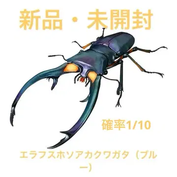 새상품 엘라푸스 호소아카사슴벌레 (블루) 레어 생물대도감 어드밴스