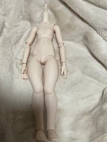 [ 상품 설명 필독 ] mdd 모치아시 바디 세미 화이트 f3 구형