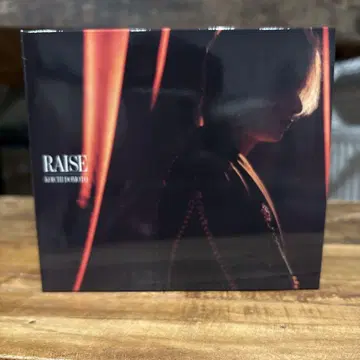 RAISE 초회B