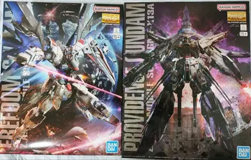 MG 프리덤 ver.2.0 프로비던스 2체 세트