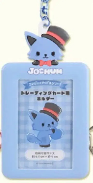 JOCHUM 트레이딩 카드 케이스 레인