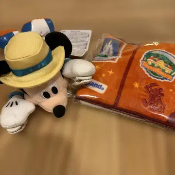 디즈니 베케이션 패키지