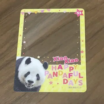 마츠자카야 팬더 HAPPY PANDAFUL DAYS 샤오샤오