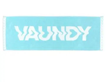 VAUNDY 타월 스카이블루