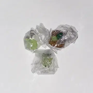 모리조와 킷코로 메지루시 액세서리