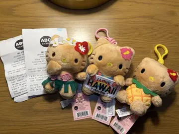 3종 세트 HAWAII ABC 스토어 한정품 일광화상 키티