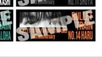 BULLET TRAIN 10주년 타월