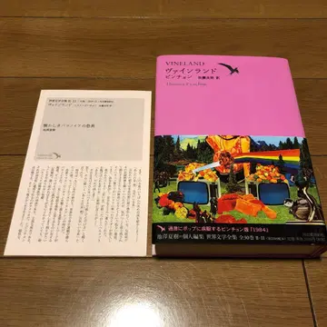 세계 문학 전집 2-11 토머스 핀천