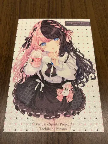 브이스포! 타치바나 히나노 엽서 동동이 고양이 빙채 VGGC