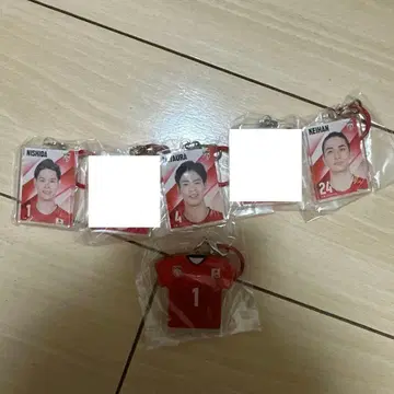 배구 남자 일본 대표 메지루시 액세서리