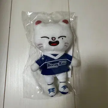 지니 레트 백참