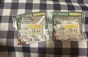 귀멸의 칼날 원화전 명찰 배지 컬렉션 아가츠마 젠이츠 키메츠 학원