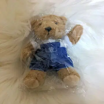 폭스바겐 마이스터베어 봉제 인형 곰 곰 베어