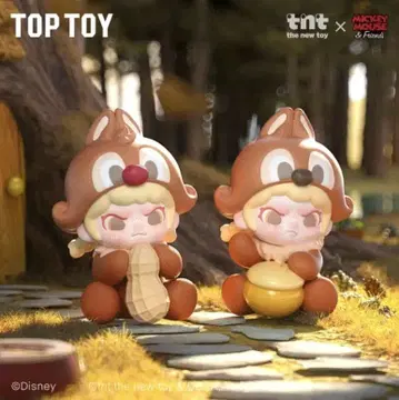 TOPTOY DISNEY DORA [ 칩과 데일 ]