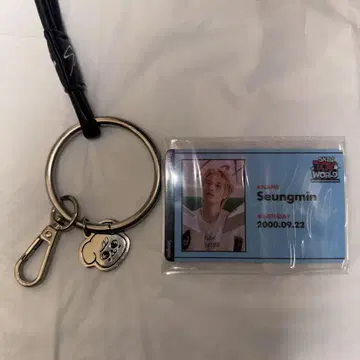 스키즈 승민 패스 케이스 ID 카드 세트