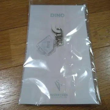 SEVENTEEN DINO 참