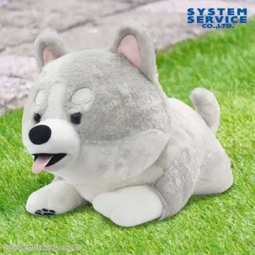 허스키 강아지 봉제 인형 XL 프리미엄