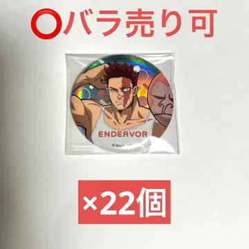 히로아카 엔데버 애니멀 비치볼 캔뱃지 묶음 판매 (낱개 판매 가능)