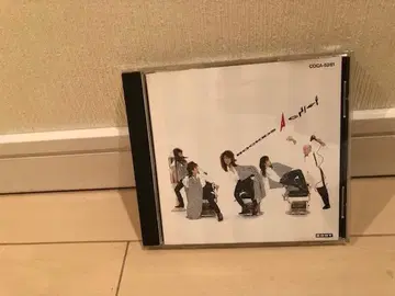 단종 오비 포함 A-CHIEF (에이치프) / ROCKKIDS