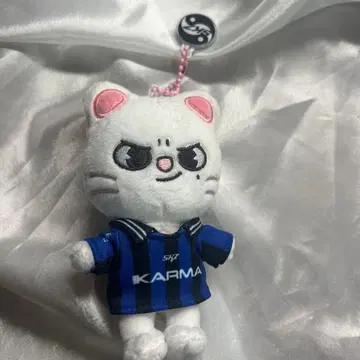 KARMA SKZOO ver. 진렛