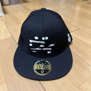 V12 캡
