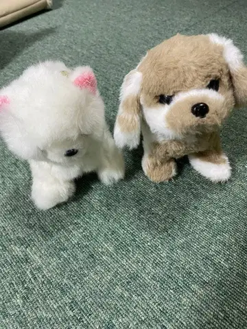 움직이는 완구 강아지 봉제 인형 세트