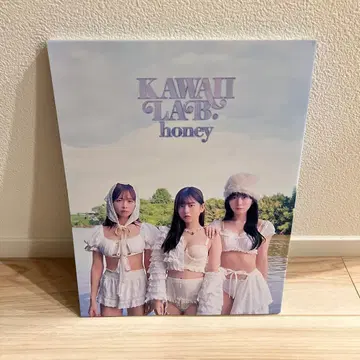 KAWAII LAB. honey 비주얼 북