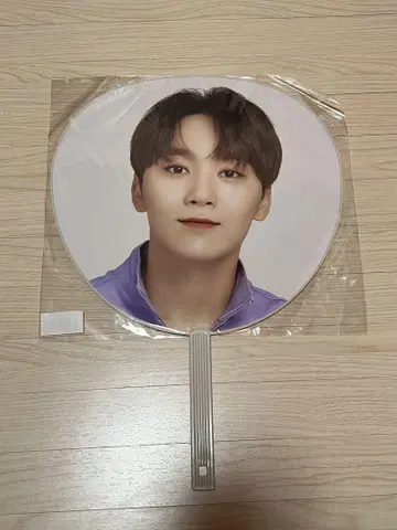 SEVENTEEN 승관 부채 Ode to You