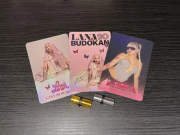 LANA BUDOKAN 아레나 트레이딩 카드 세트