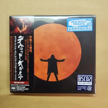 랙 앤 스트레인지 콘서트 / 데이비드 길모어 2CD