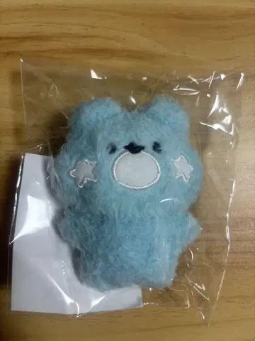 EVVNIZ 호빈 키링 한빈