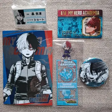 히로아카 토도로키 쇼토 생일 컬렉션 카드 명찰 배지 컬렉션